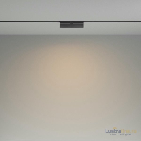 Трековый светодиодный светильник Maytoni Technical Basis TR036-2-12W3K-B