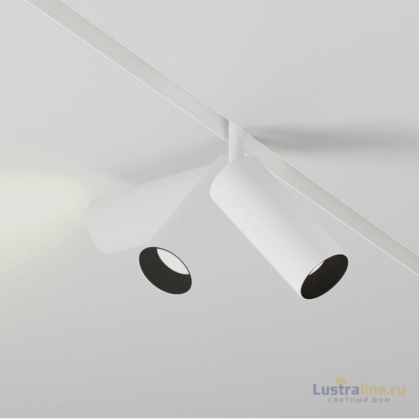 Трековый магнитный светильник Maytoni Focus LED TR032-2-12W3K-S-W