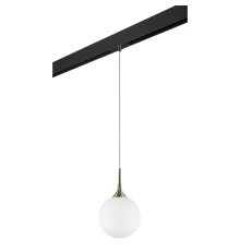 Трековый светильник Lightstar Globo PRO813031 (813031+595007)