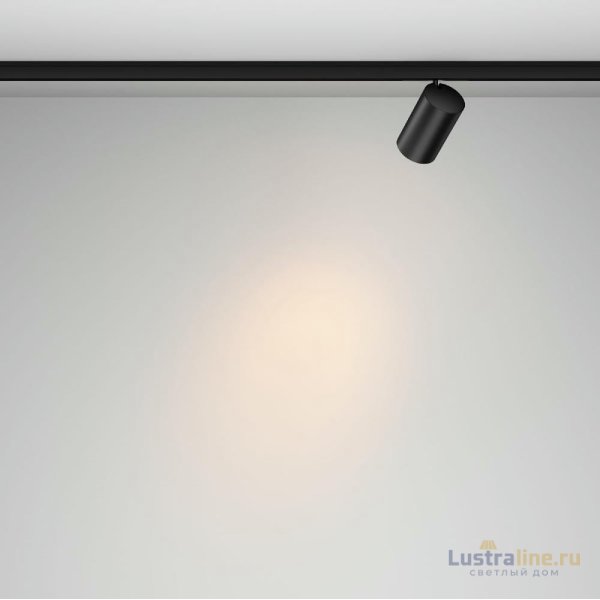 Трековый магнитный светильник Maytoni Focus Led TR187-1-9W2.7K-M-B
