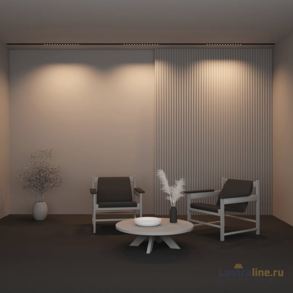 Трековый магнитный светильник Maytoni Points TR174-1-24WTW-M-B