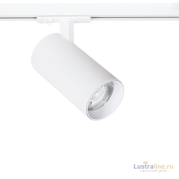 Трековый светильник Arte Lamp Bene A1947PL-1WH