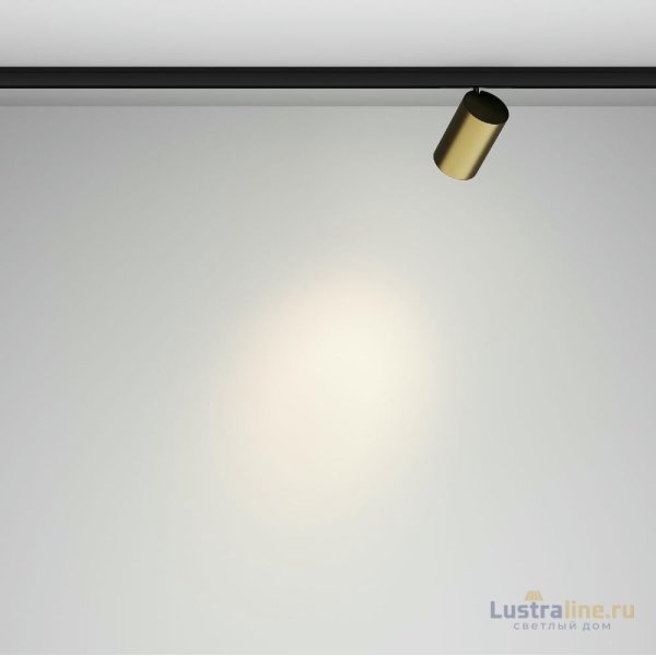 Трековый магнитный светильник Maytoni Focus Led TR187-1-9W4K-M-BBS