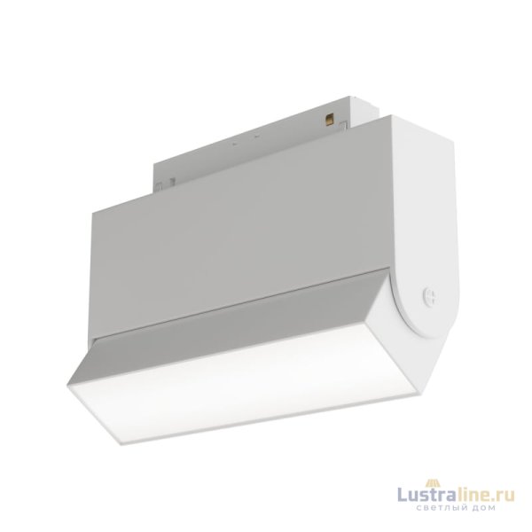 Трековый светильник Maytoni Technical BASIS TR013-2-10W3K-W