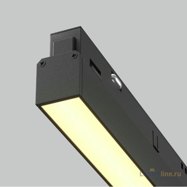 Трековый магнитный светильник Maytoni Basis TR030-2-30W2.7K-B