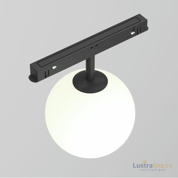 Трековый светильник Technical Maytoni Luna TR038-2-5W4K