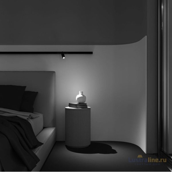 Трековый магнитный светильник Maytoni Focus Led TR032-2-5W2.7K-M-B