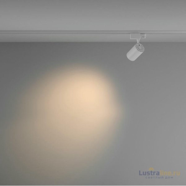 Трековый светильник Maytoni Technical Vuoro TR029-3-10W3K-M-W