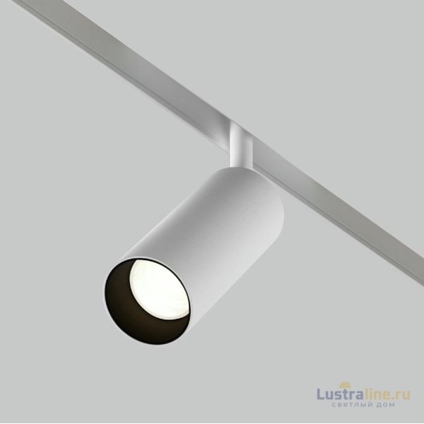Трековый магнитный светильник Maytoni Focus LED TR032-2-12W4K-S-W
