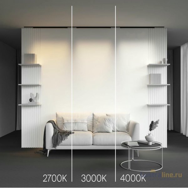 Трековый магнитный светильник Maytoni Basis TR192-1-21W3K-B