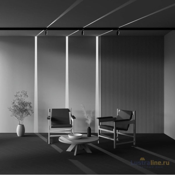 Трековый магнитный светильник Maytoni Outline TR090-2-6W4K-B