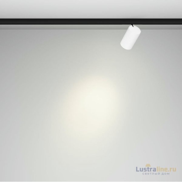 Трековый магнитный светильник Maytoni Focus Led TR187-1-9W4K-M-BW