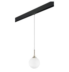 Трековый светильник Lightstar Globo PRO813023 (813023+595007)