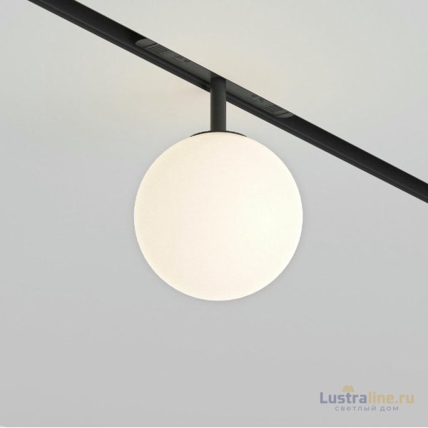 Трековый светильник Technical Maytoni Luna TR038-2-5W4K