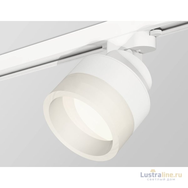 Трековый светильник Ambrella Light Track System XT8101020 (A2524, A2105, C8101, N8401)