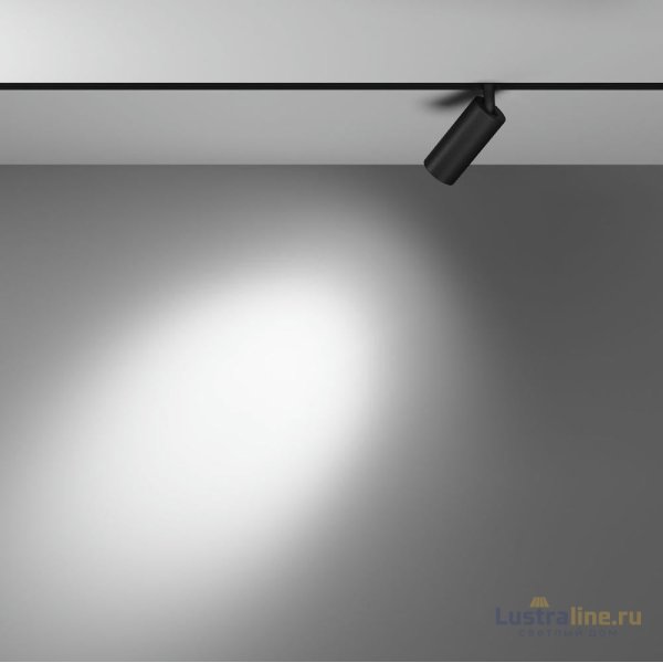 Трековый магнитный светильник Maytoni Focus LED TR032-4-5WTW-S-DD-B Трековый магнитный светильник Maytoni Focus LED TR032-4-5WTW-S-DD-B