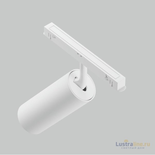 Трековый магнитный светильник Maytoni Focus LED TR032-4-20WTW-M-DSZ-W