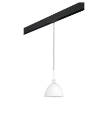 Трековый светильник Lightstar Agola PRO810020 (810020+595007)