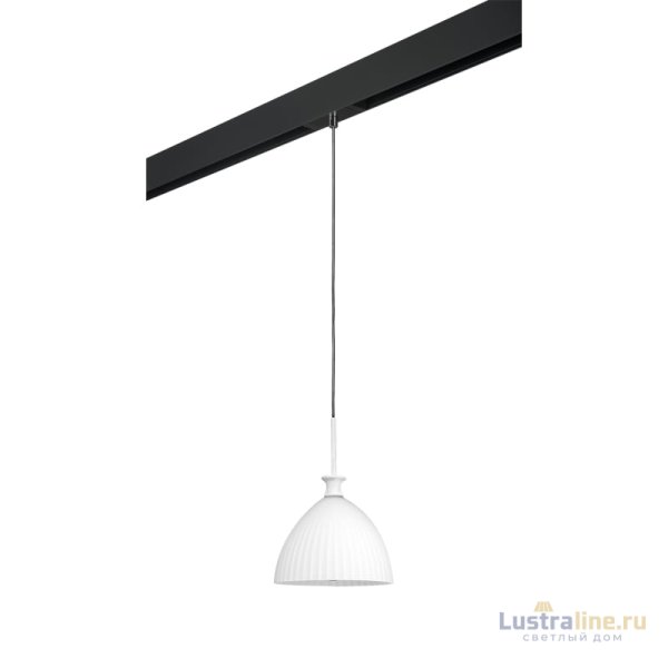 Трековый светильник Lightstar Agola PRO810020 (810020+595007)