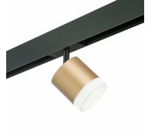 Трековый однофазный светильник Lightstar Rullo (213490+595087+202480) PRO349080