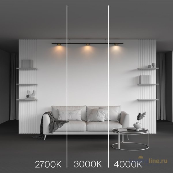 Трековый магнитный светильник Maytoni Zon TR189-1-12W3K-BBS Трековый магнитный светильник Maytoni Zon TR189-1-12W3K-BBS
