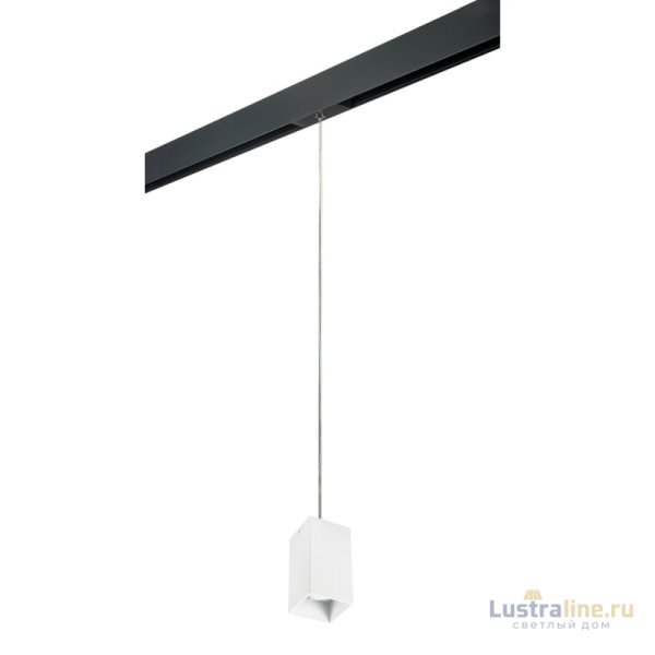 Трековый светильник Lightstar Rullo PRORP6586 (216586+595987) Трековый светильник Lightstar Rullo PRORP6586 (216586+595987)