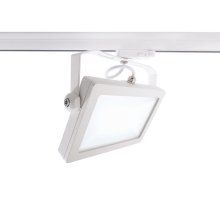 Трековый трехфазный светильник Deko-Light Flood 707140