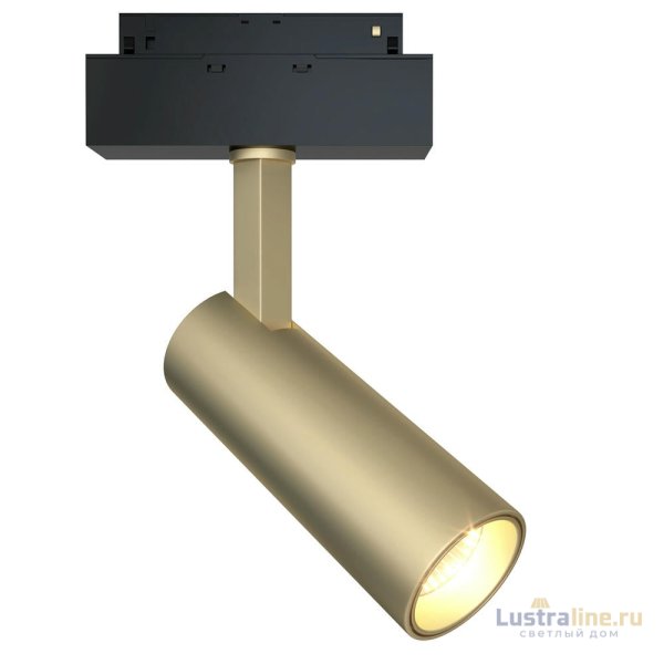 Трековый светильник Maytoni Focus LED TR019-2-10W3K-MG