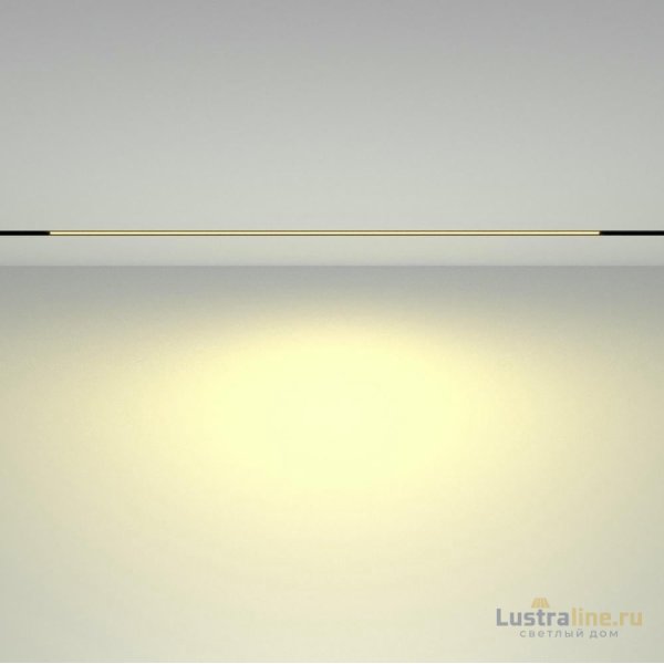 Трековый магнитный светильник Maytoni Basis TR030-2-30W2.7K-B