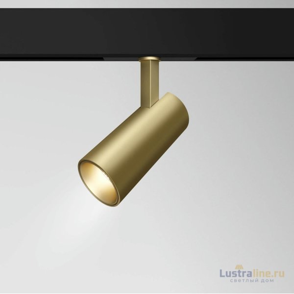 Трековый светильник Maytoni Focus LED TR019-2-15W3K-MG