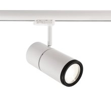 Трековый трехфазный светильник Deko-Light Pleione Focus 707068