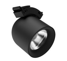 Трековый светильник Divinare Decorato 2483/06 SP-10