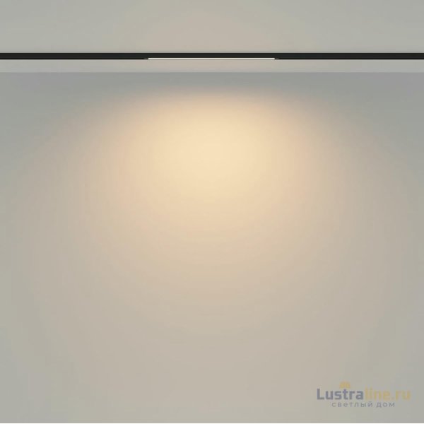 Трековый магнитный светильник Maytoni Basis TR173-1-8WTW-B