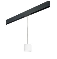 Трековый однофазный светильник Lightstar Rullo (213486+595887) PRORP3486