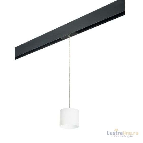 Трековый однофазный светильник Lightstar Rullo (213486+595887) PRORP3486
