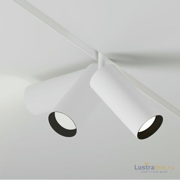 Трековый магнитный светильник Maytoni Focus LED TR032-2-20W3K-S-W