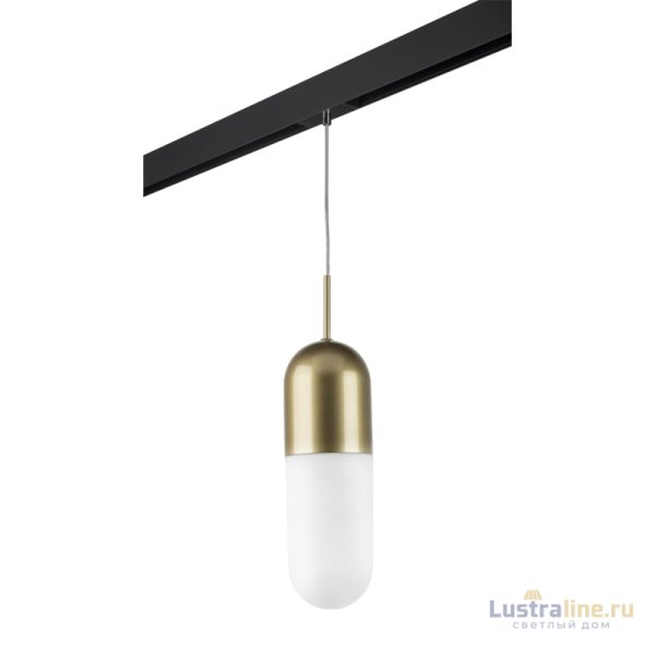 Трековый светильник Lightstar Ramo PRO690113 (690113+595007) Трековый светильник Lightstar Ramo PRO690113 (690113+595007)