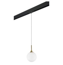 Трековый светильник Lightstar Globo PRO813022 (813022+595007)