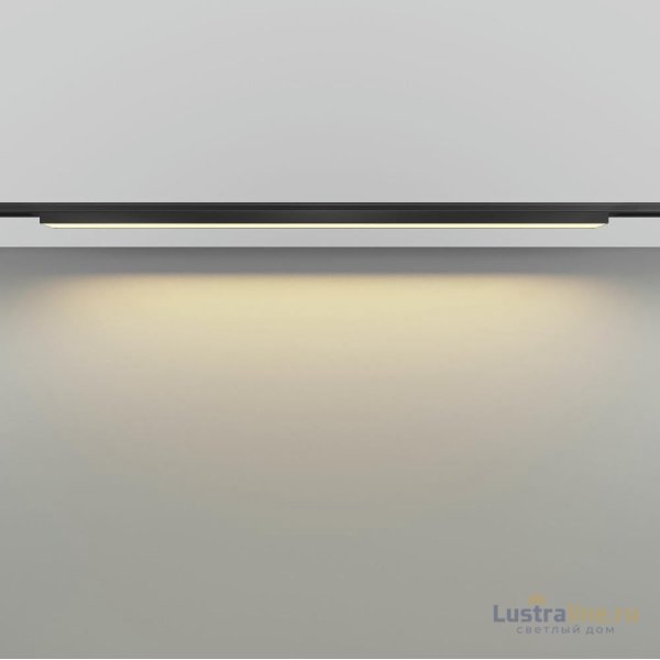 Трековый магнитный светильник Maytoni Basis TR192-1-21W2.7K-B