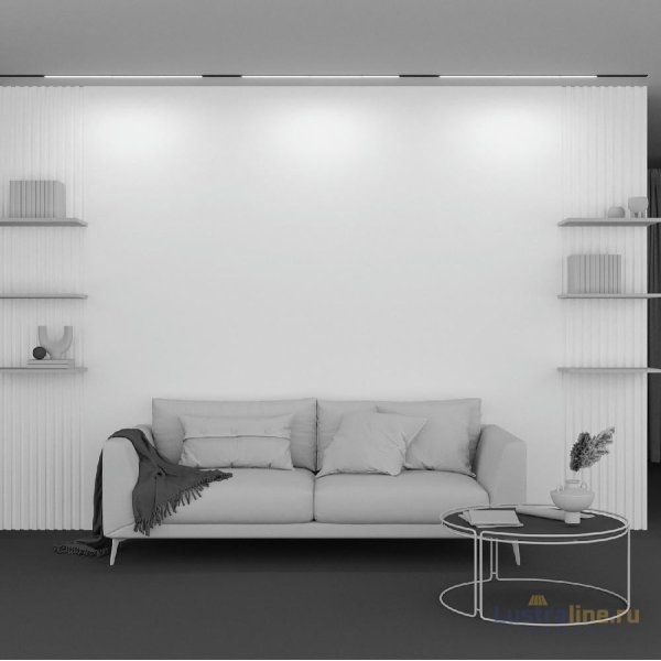 Трековый магнитный светильник Maytoni Basis TR030-2-30W2.7K-B