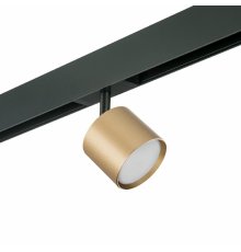 Трековый однофазный светильник Lightstar Rullo (213490+595087) PRO3490