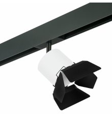 Трековый однофазный светильник Lightstar Rullo (213486+595087+202487) PRO3486487
