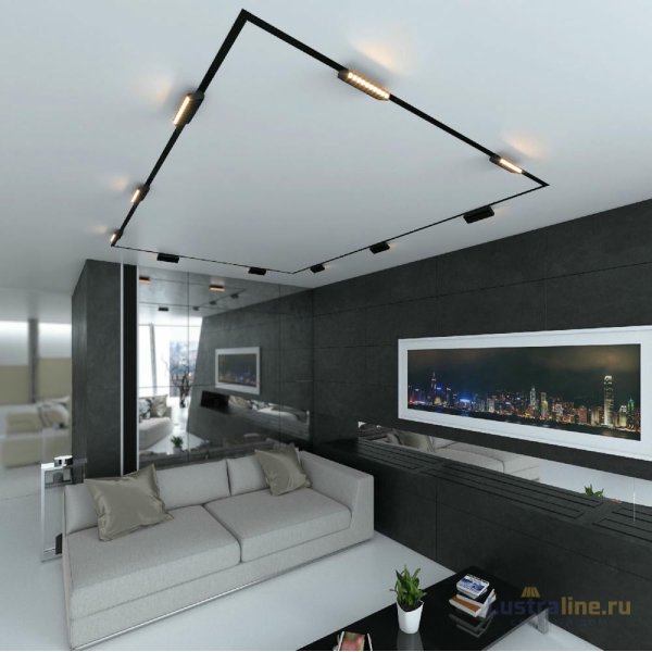 Трековый магнитный светильник Elektrostandard Slim Magnetic 4690389206412 85010/01 a067370 Трековый магнитный светильник Elektrostandard Slim Magnetic 4690389206412 85010/01 a067370
