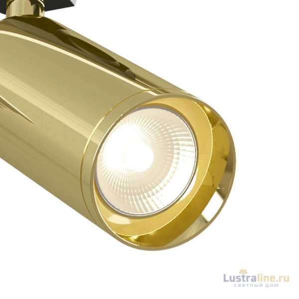 Трековый светильник Maytoni Track lamps TR004-1-GU10-G Трековый светильник Maytoni Track lamps TR004-1-GU10-G