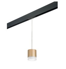 Трековый однофазный светильник Lightstar Rullo (213490+595887+202480) PRORP349080
