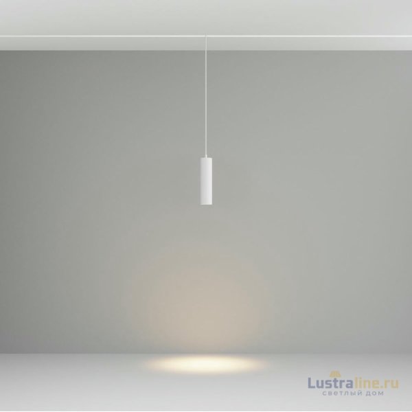Трековый подвесной магнитный светильник Maytoni Focus LED TR041-2-12W3K-W Трековый подвесной магнитный светильник Maytoni Focus LED TR041-2-12W3K-W