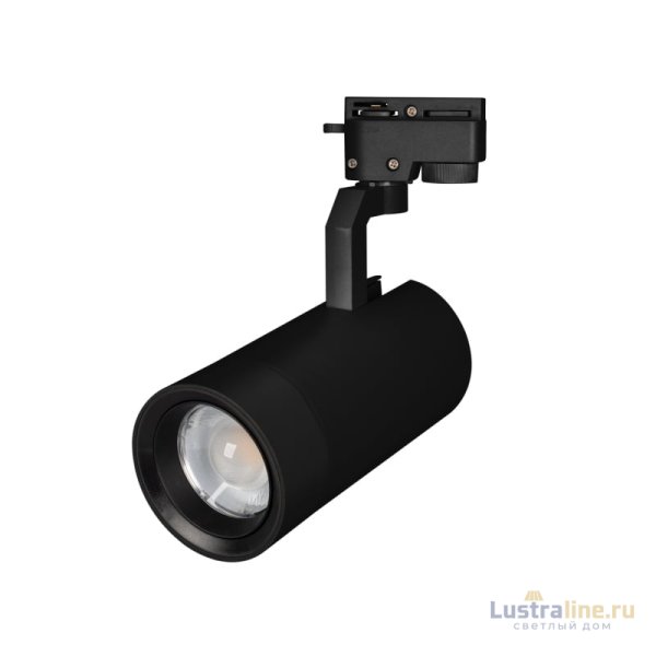 Трековый светильник Arlight LGD-Gelios-2TR-R95-40W Day4000 031246