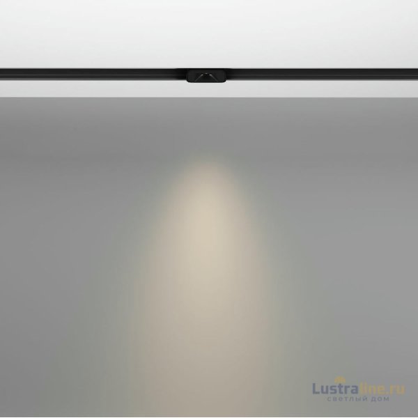 Трековый магнитный светильник Maytoni Points S TR100-2-2W4K-S-B