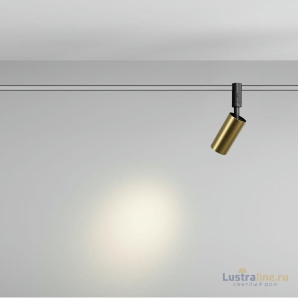 Трековый магнитный светильник Maytoni Focus Led TR201-1-10W3K-M-BBS