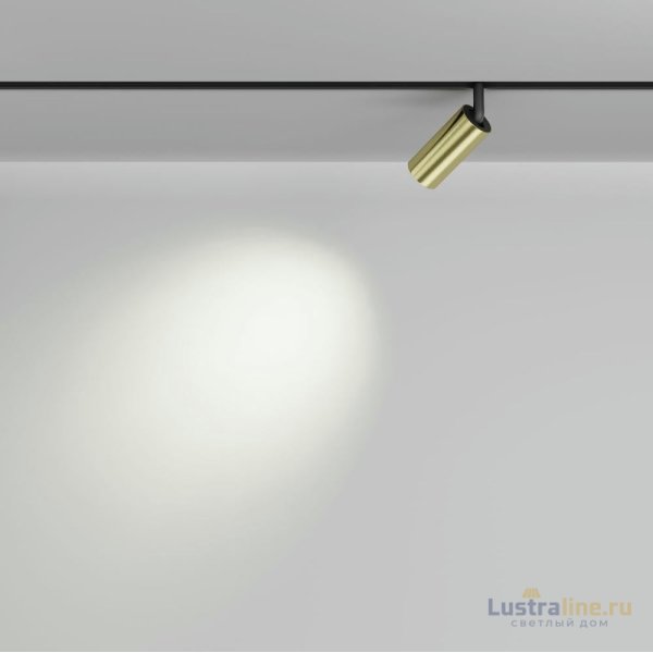 Трековый магнитный светильник Maytoni Focus Led TR032-2-5W4K-M-BBS